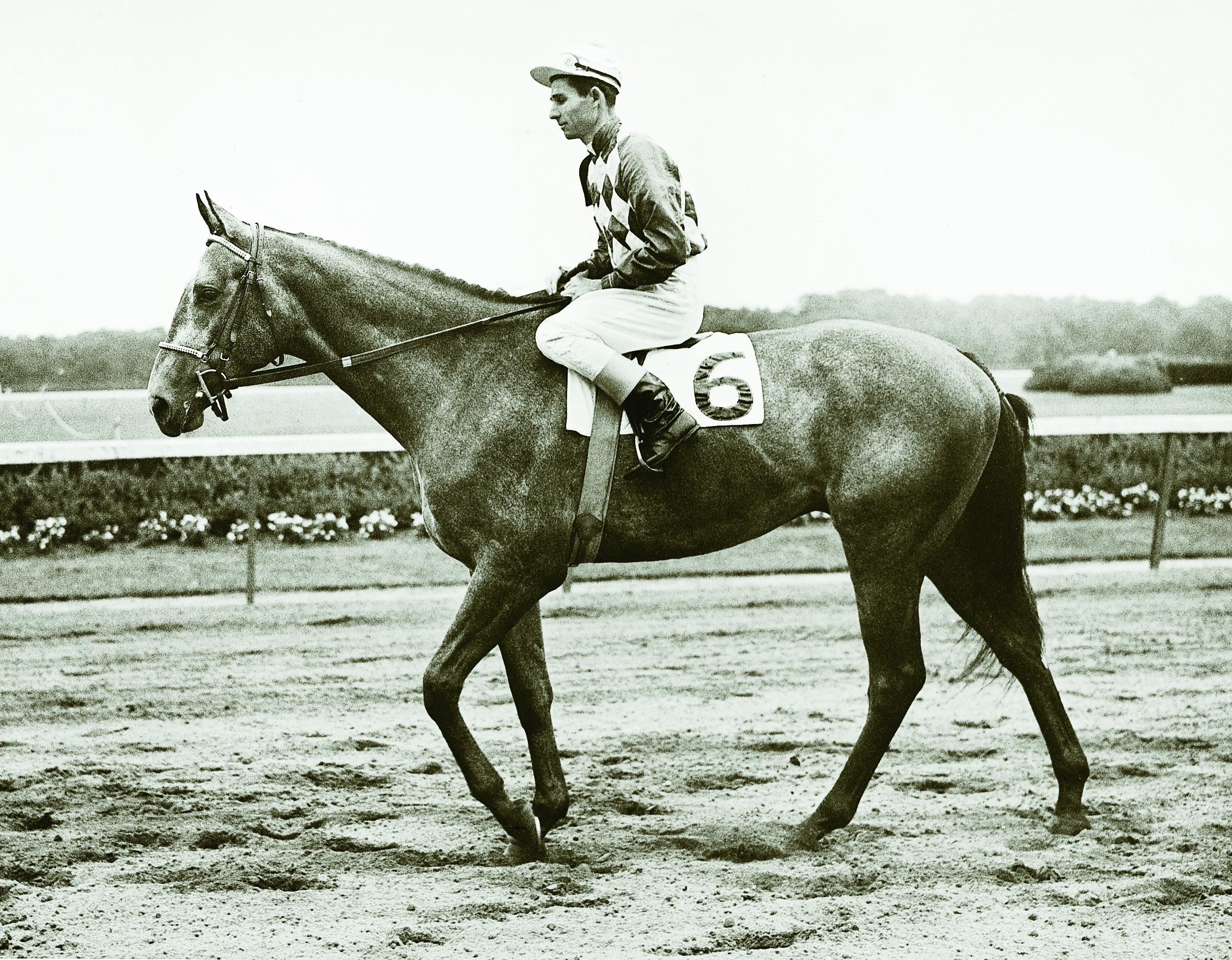 Native Dancer en Belmont Park.